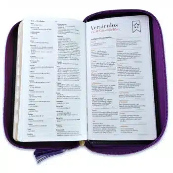 Biblia Reina Valera 1960, Tipo Billetera, Simil Piel, Índice, Cierre, Lila Gris 9798885169417 Biblia Reina Valera 1960, Tipo Billetera, Simil Piel, Índice, Cierre, Lila Gris - 9798885169417