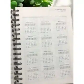 Agenda Diario de Promesas 2025, Azul Acero 7708028025427 Agenda Diario de Promesas 2025, Azul Acero - 7708028025427