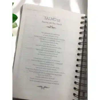 Agenda Diario de Promesas 2025, Azul Acero 7708028025427 Agenda Diario de Promesas 2025, Azul Acero - 7708028025427