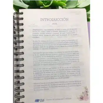 Agenda Diario de Promesas 2025, Azul Claro 7708028025335 Agenda Diario de Promesas 2025, Azul Claro - 7708028025335