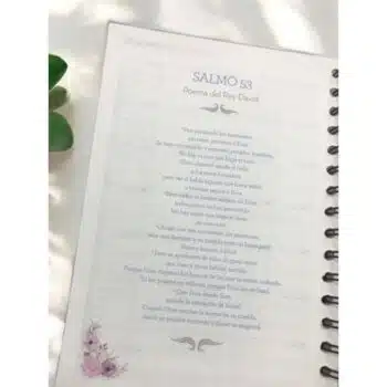 Agenda Diario de Promesas 2025, Azul Claro 7708028025335 Agenda Diario de Promesas 2025, Azul Claro - 7708028025335