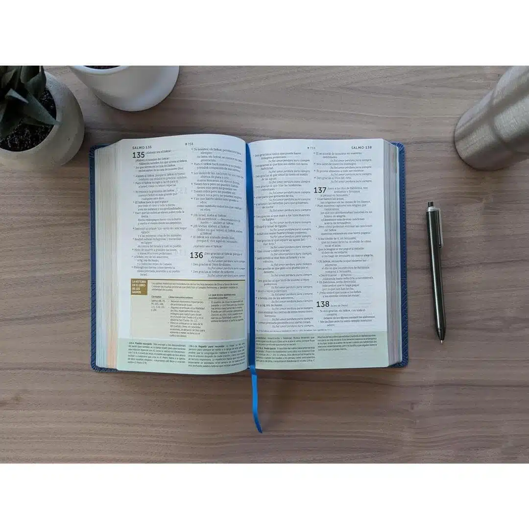 Biblia de estudio Diario Vivir para jóvenes NTV, Sentipiel, Azul Oscuro 9781496429896 Biblia de estudio Diario Vivir para jóvenes NTV, Sentipiel, Azul Oscuro - Imagen 8