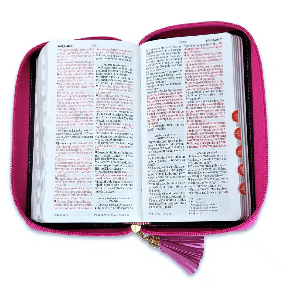 Biblia Reina Valera 1960, Tipo Billetera, Simil Piel, Índice, Cierre, Fucsia Gris 9798885169387 Biblia Reina Valera 1960, Tipo Billetera, Simil Piel, Índice, Cierre, Fucsia Gris - Imagen 2