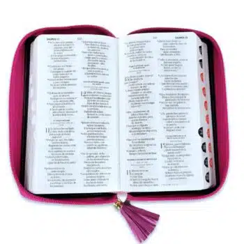 Biblia Reina Valera 1960, Tipo Billetera, Simil Piel, Índice, Cierre, Fucsia Gris 9798885169387 Biblia Reina Valera 1960, Tipo Billetera, Simil Piel, Índice, Cierre, Fucsia Gris - Imagen 3