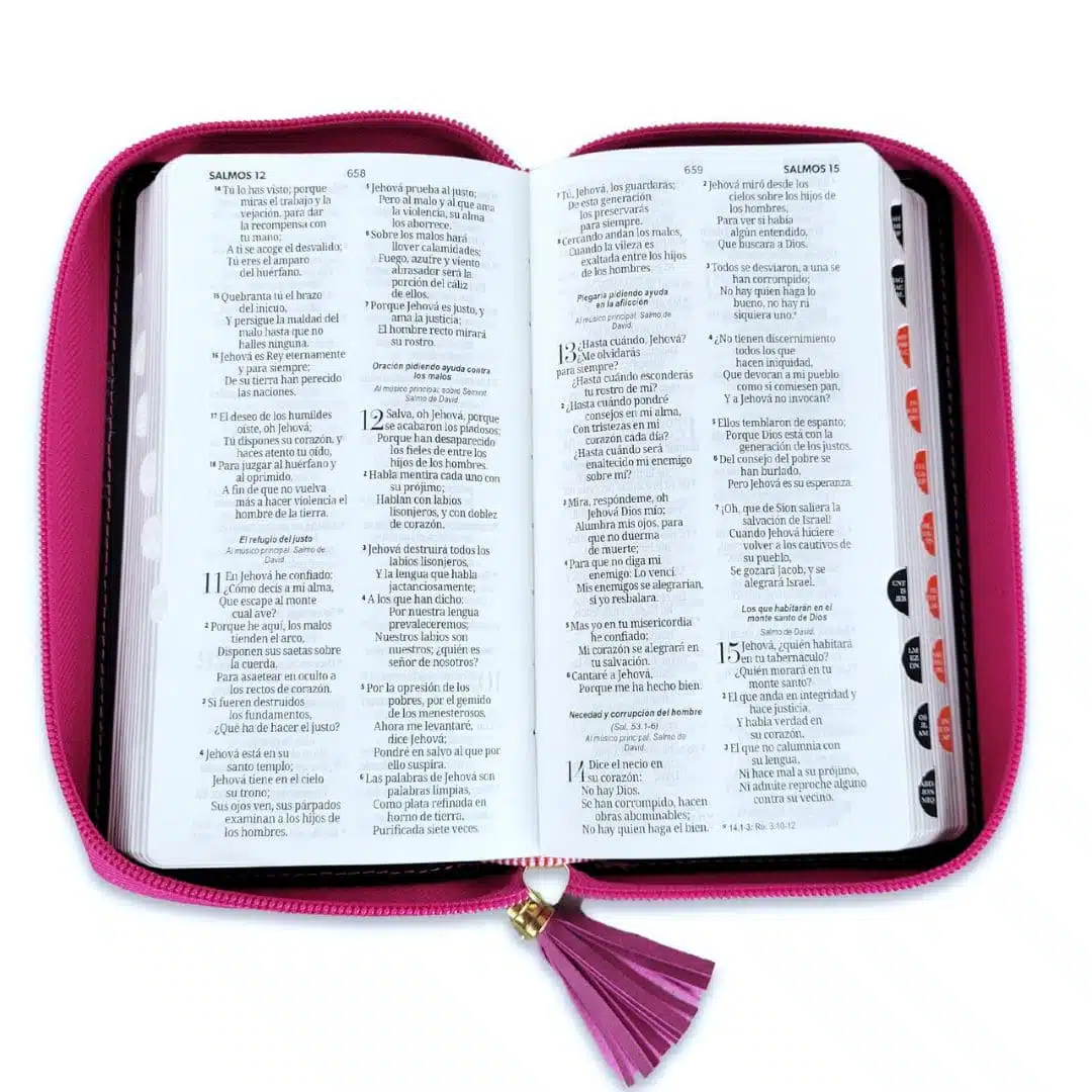 Biblia Reina Valera 1960, Tipo Billetera, Simil Piel, Índice, Cierre, Fucsia Gris 9798885169387 Biblia Reina Valera 1960, Tipo Billetera, Simil Piel, Índice, Cierre, Fucsia Gris - Imagen 3