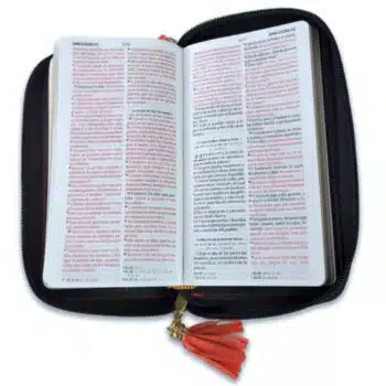 Biblia Reina Valera 1960, Tipo Billetera, Simil Piel, Índice, Cierre, Coral Beige 9798885169400 Biblia Reina Valera 1960, Tipo Billetera, Simil Piel, Índice, Cierre, Coral Beige - Imagen 3