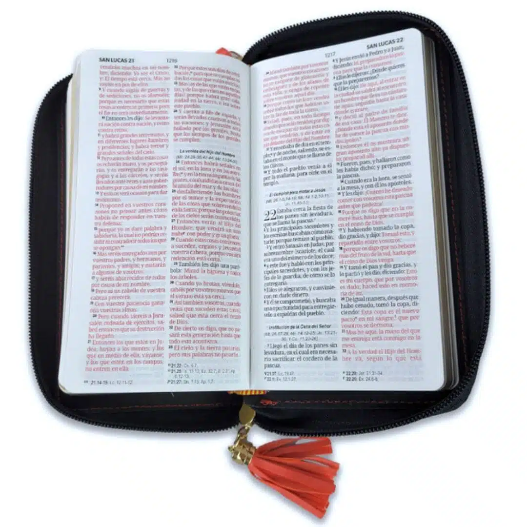 Biblia Reina Valera 1960, Tipo Billetera, Simil Piel, Cierre, Coral Gris 9798885169462 Biblia Reina Valera 1960, Tipo Billetera, Simil Piel, Cierre, Coral Gris - Imagen 2