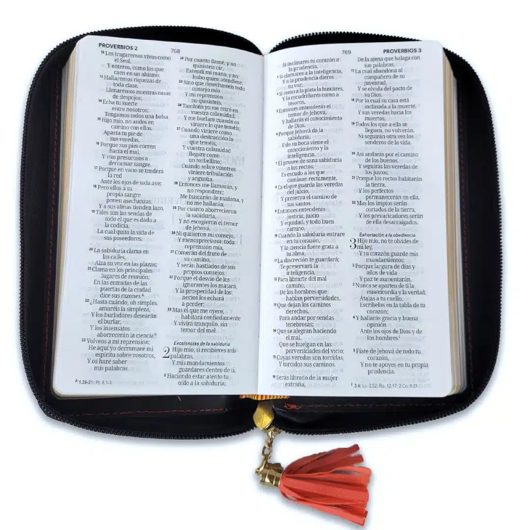 Biblia Reina Valera 1960, Tipo Billetera, Simil Piel, Cierre, Coral Gris 9798885169462 Biblia Reina Valera 1960, Tipo Billetera, Simil Piel, Cierre, Coral Gris - Imagen 3