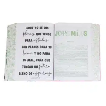 Biblia Devocional BibliArte RVC, Tapa Dura, Blanco Rosa 9781598778533 Biblia Devocional BibliArte RVC, Tapa Dura, Blanco Rosa - 9781598778533