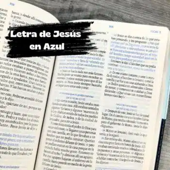 Biblia TLA, Tipo Agenda, Letra grande, Símil Piel, Bitono Azul 9789587459593 Biblia TLA, Tipo Agenda, Letra grande, Símil Piel, Bitono Azul - 9789587459593