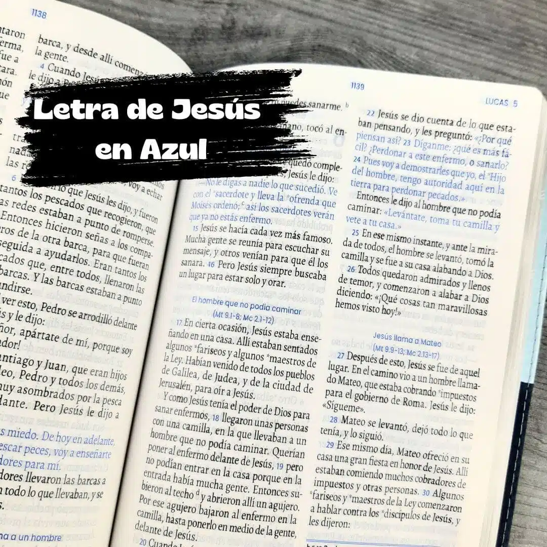 Biblia TLA, Tipo Agenda, Letra grande, Símil Piel, Bitono Azul 9789587459593 Biblia TLA, Tipo Agenda, Letra grande, Símil Piel, Bitono Azul - Imagen 8