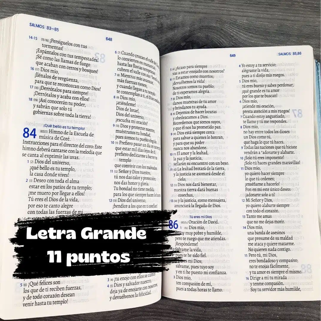 Biblia TLA, Tipo Agenda, Letra grande, Símil Piel, Bitono Azul 9789587459593 Biblia TLA, Tipo Agenda, Letra grande, Símil Piel, Bitono Azul - Imagen 9