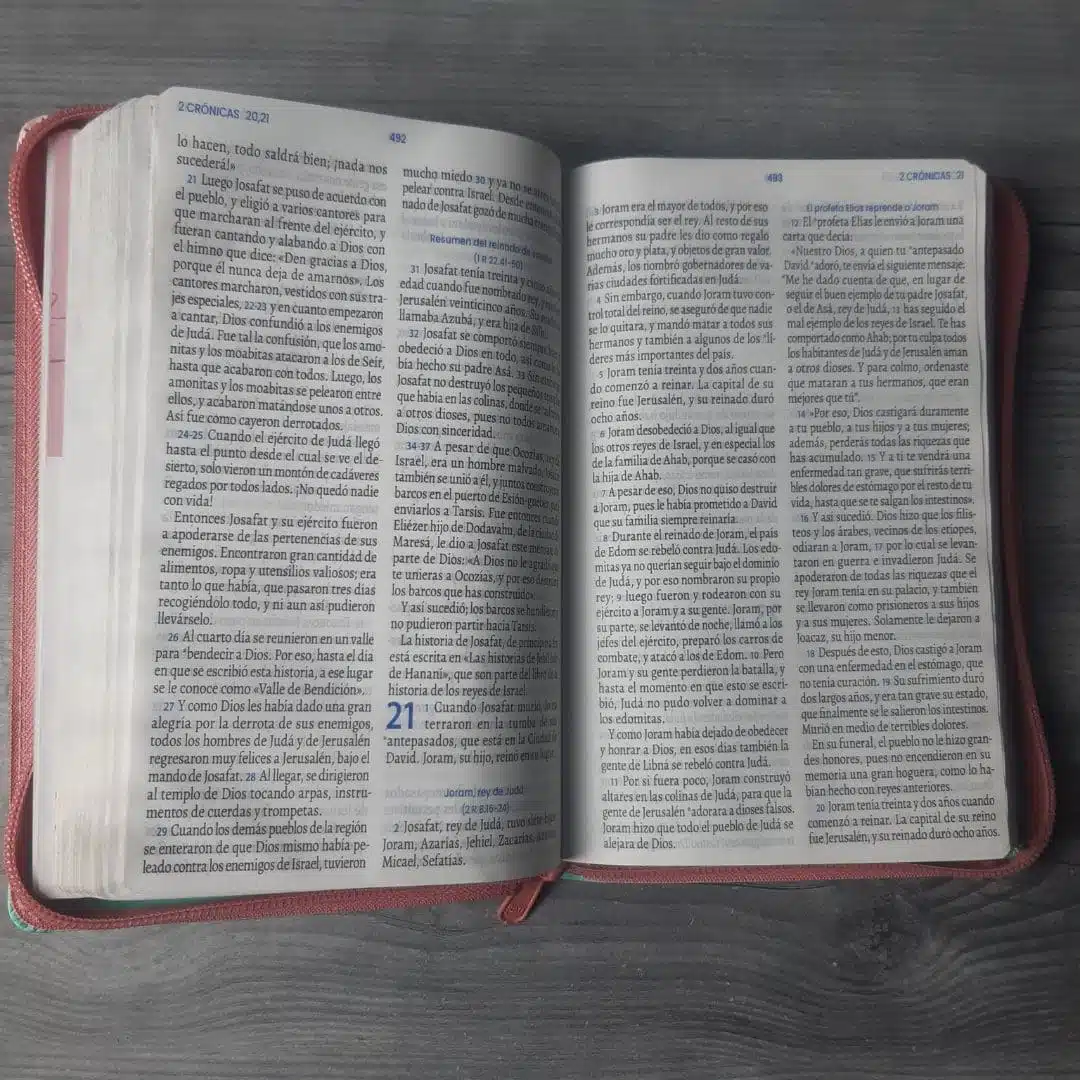 Biblia Valiosa TLA, Tamaño Compacto, Letra grande, Símil Piel, Cierre, Rosado Verde 9789587459722 Biblia Valiosa TLA, Tamaño Compacto, Letra grande, Símil Piel, Cierre, Rosado Verde - Imagen 7