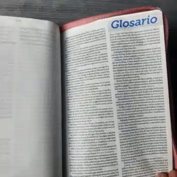 Biblia Valiosa TLA, Tamaño Compacto, Letra grande, Símil Piel, Cierre, Rosado Verde 9789587459722 Biblia Valiosa TLA, Tamaño Compacto, Letra grande, Símil Piel, Cierre, Rosado Verde - 9789587459722