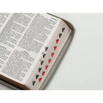 Biblia Reina Valera 1960, Tamaño Manual, Letra Grande, Símil Piel, Índice, Cierre, León Negro Gris 9798885168861 Biblia Reina Valera 1960, Tamaño Manual, Letra Grande, Símil Piel, Índice, Cierre, León Negro Gris - 9798885168861