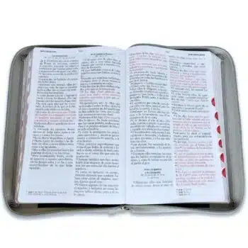 Biblia Reina Valera 1960, Tamaño Manual, Letra Grande, Símil Piel, Índice, Cierre, León Negro Gris 9798885168861 Biblia Reina Valera 1960, Tamaño Manual, Letra Grande, Símil Piel, Índice, Cierre, León Negro Gris - 9798885168861