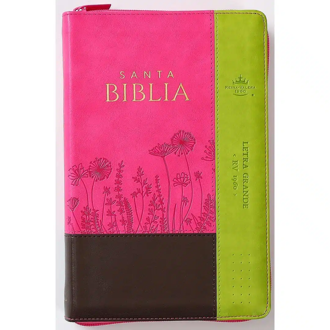 Biblia Reina Valera 1960, Tamaño Manual, Letra Grande, Símil Piel, Índice, Cierre, Flores Fucsia Verde 9798885168892 Biblia Reina Valera 1960, Tamaño Manual, Letra Grande, Símil Piel, Índice, Cierre, Flores Fucsia Verde
