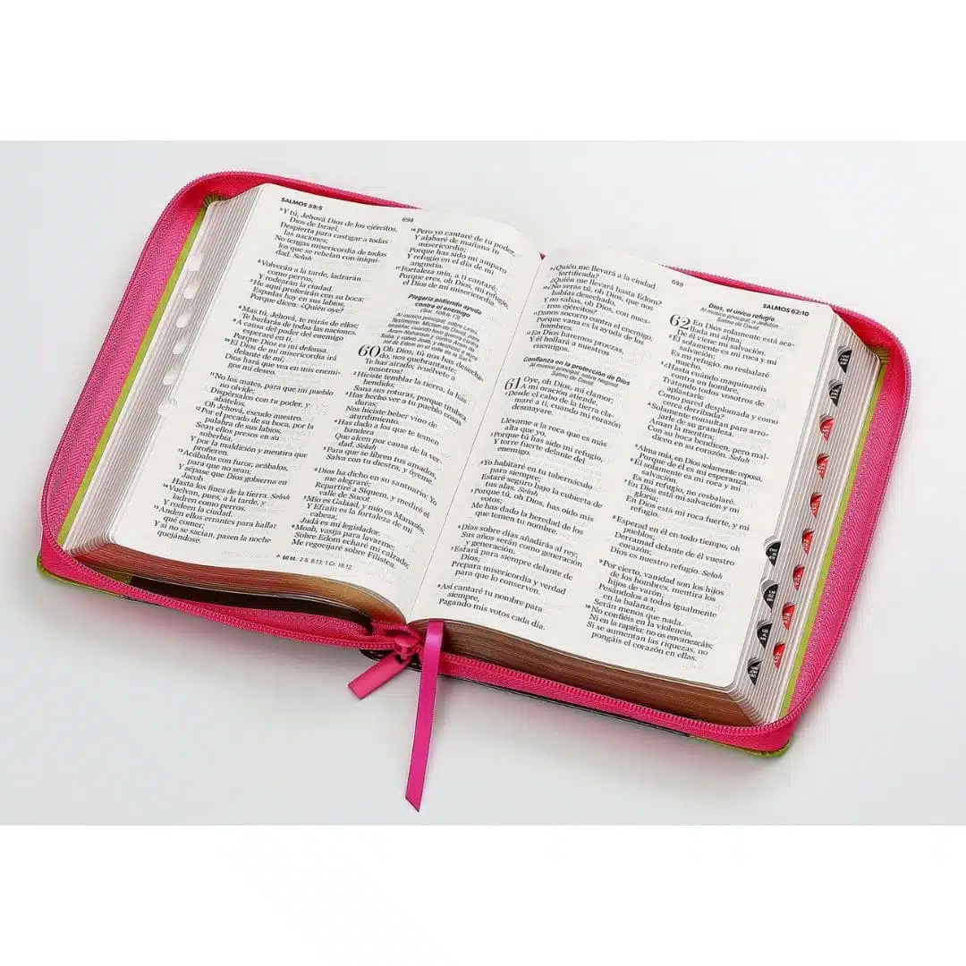 Biblia Reina Valera 1960, Tamaño Manual, Letra Grande, Símil Piel, Índice, Cierre, Flores Fucsia Verde 9798885168892 Biblia Reina Valera 1960, Tamaño Manual, Letra Grande, Símil Piel, Índice, Cierre, Flores Fucsia Verde - Imagen 8