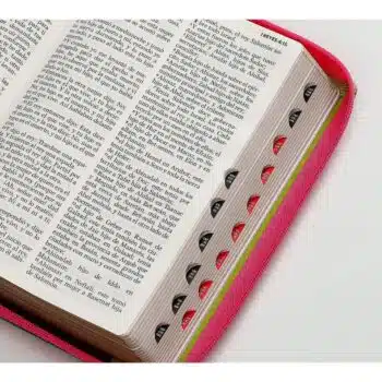 Biblia Reina Valera 1960, Tamaño Manual, Letra Grande, Símil Piel, Índice, Cierre, Flores Fucsia Verde 9798885168892 Biblia Reina Valera 1960, Tamaño Manual, Letra Grande, Símil Piel, Índice, Cierre, Flores Fucsia Verde - Imagen 9