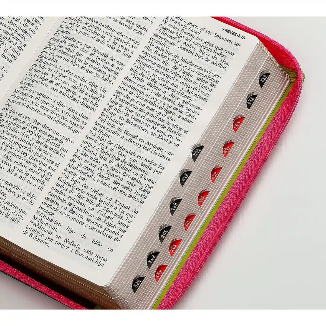 Biblia Reina Valera 1960, Tamaño Manual, Letra Grande, Símil Piel, Índice, Cierre, Flores Fucsia Verde 9798885168892 Biblia Reina Valera 1960, Tamaño Manual, Letra Grande, Símil Piel, Índice, Cierre, Flores Fucsia Verde - Imagen 9