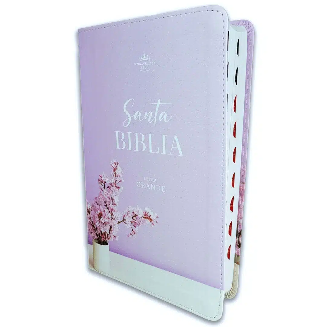 Biblia Reina Valera 1960, Tamaño Manual, Letra Grande, Símil Piel, Índice, Lila 9798893840889 Biblia Reina Valera 1960, Tamaño Manual, Letra Grande, Símil Piel, Índice, Lila - Imagen 2