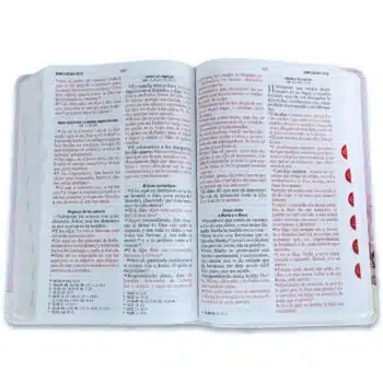 Biblia Reina Valera 1960, Tamaño Manual, Letra Grande, Símil Piel, Índice, Lila 9798893840889 Biblia Reina Valera 1960, Tamaño Manual, Letra Grande, Símil Piel, Índice, Lila - Imagen 7