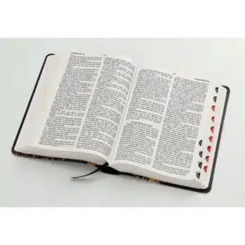 Biblia Reina Valera 1960, Tamaño Manual, Letra Grande, Símil Piel, Índice, Trigo Negro 9798893840919 Biblia Reina Valera 1960, Tamaño Manual, Letra Grande, Símil Piel, Índice, Trigo Negro - 9798893840919