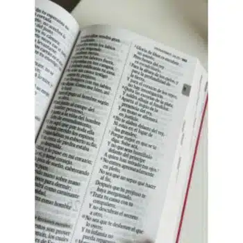 Biblia Económica Reina Valera 1960, Letra Grande, Tapa Flexible, Rosado 9789587458749 Biblia Económica Reina Valera 1960, Letra Grande, Tapa Flexible, Rosado - Imagen 12
