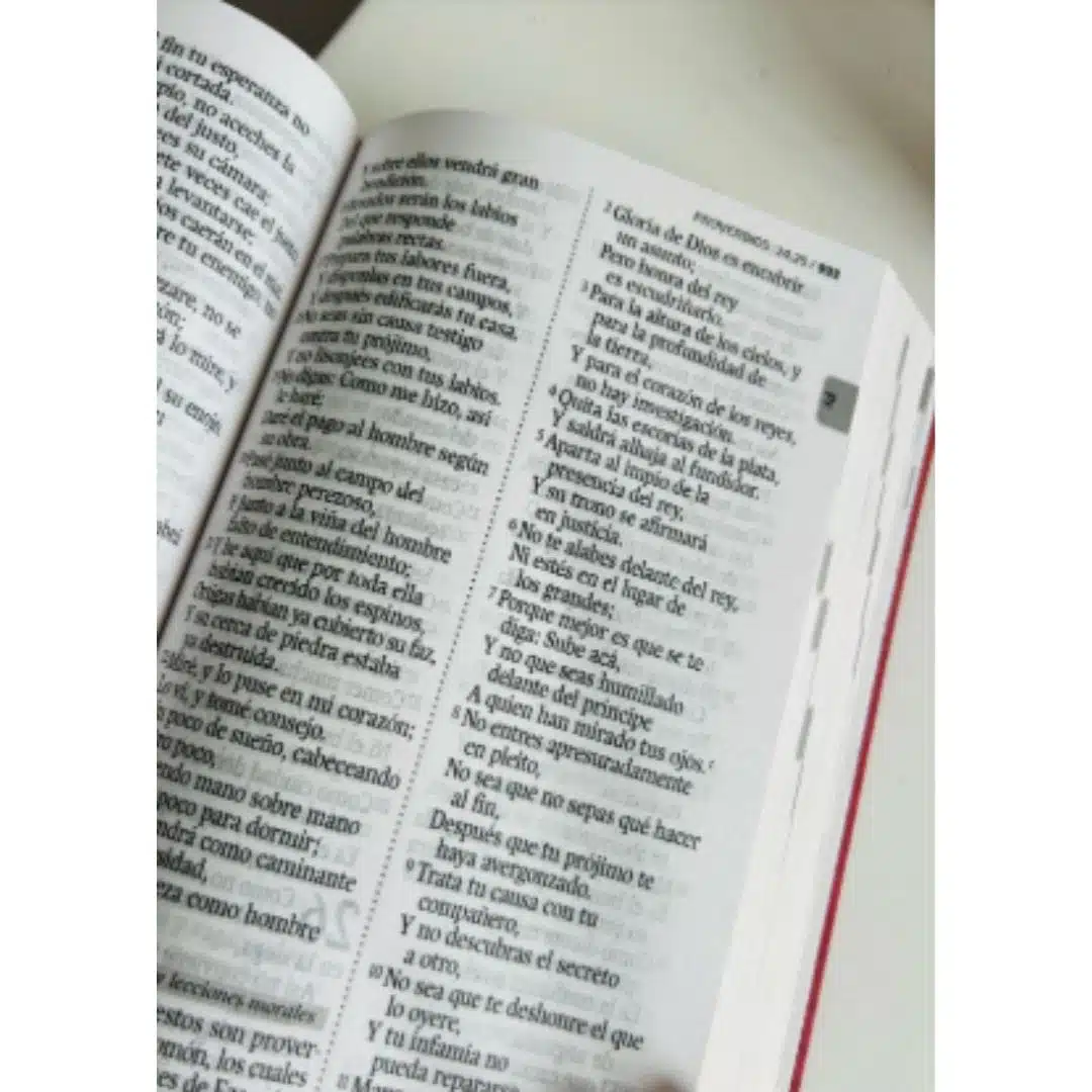 Biblia Económica Reina Valera 1960, Letra Grande, Tapa Flexible, Rosado 9789587458749 Biblia Económica Reina Valera 1960, Letra Grande, Tapa Flexible, Rosado - Imagen 12