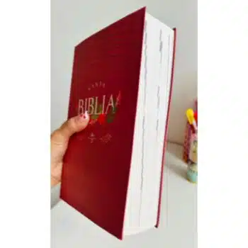 Biblia Económica Reina Valera 1960, Letra Grande, Tapa Flexible, Rosado 9789587458749 Biblia Económica Reina Valera 1960, Letra Grande, Tapa Flexible, Rosado - Imagen 4