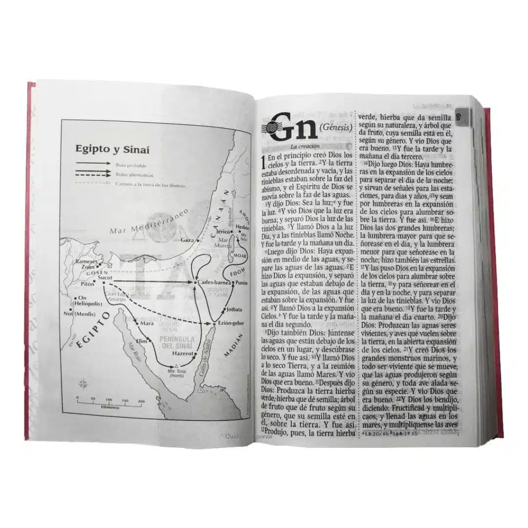 Biblia Económica Reina Valera 1960, Letra Grande, Tapa Flexible, Rosado 9789587458749 Biblia Económica Reina Valera 1960, Letra Grande, Tapa Flexible, Rosado - Imagen 6