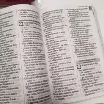 Biblia Económica Reina Valera 1960, Letra Grande, Tapa Flexible, Rosado 9789587458749 Biblia Económica Reina Valera 1960, Letra Grande, Tapa Flexible, Rosado - Imagen 7