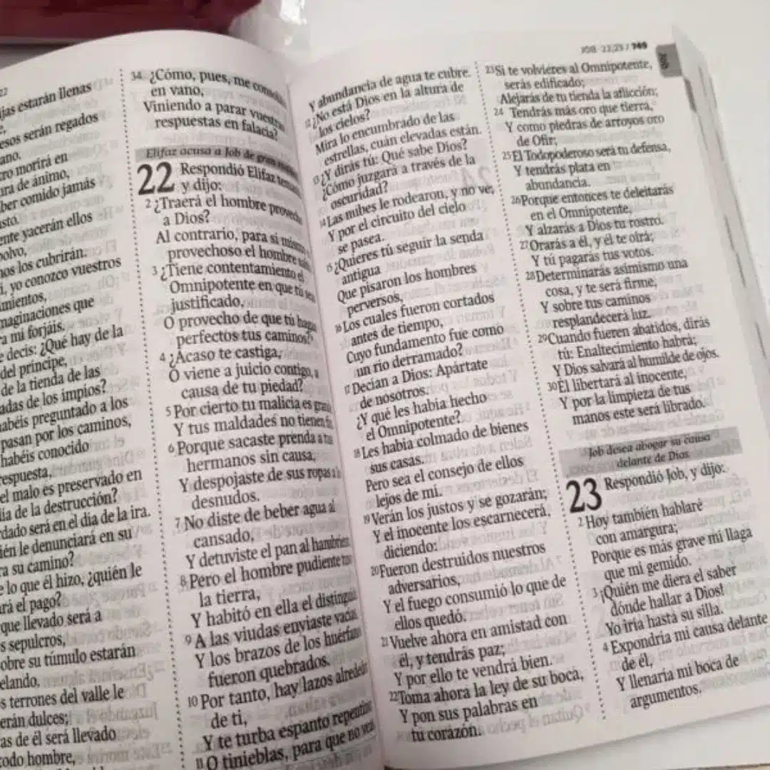 Biblia Económica Reina Valera 1960, Letra Grande, Tapa Flexible, Rosado 9789587458749 Biblia Económica Reina Valera 1960, Letra Grande, Tapa Flexible, Rosado - Imagen 7