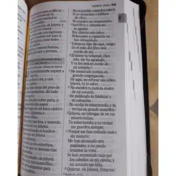 Biblia Económica Reina Valera 1960, Letra Grande, Símil Piel, Cierre, Rosado Azul 9789587458763 Biblia Económica Reina Valera 1960, Letra Grande, Símil Piel, Cierre, Rosado Azul - 9789587458763