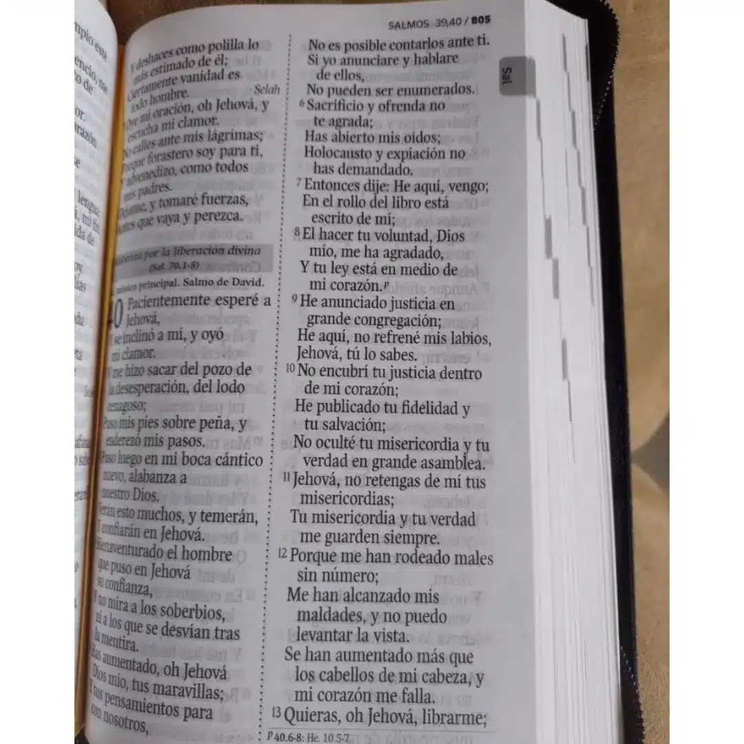 Biblia Económica Reina Valera 1960, Letra Grande, Símil Piel, Cierre, Rosado Azul 9789587458763 Biblia Económica Reina Valera 1960, Letra Grande, Símil Piel, Cierre, Rosado Azul - Imagen 5