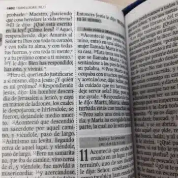 Biblia Económica Reina Valera 1960, Letra Grande, Símil Piel, Cierre, Rosado Azul 9789587458763 Biblia Económica Reina Valera 1960, Letra Grande, Símil Piel, Cierre, Rosado Azul - 9789587458763