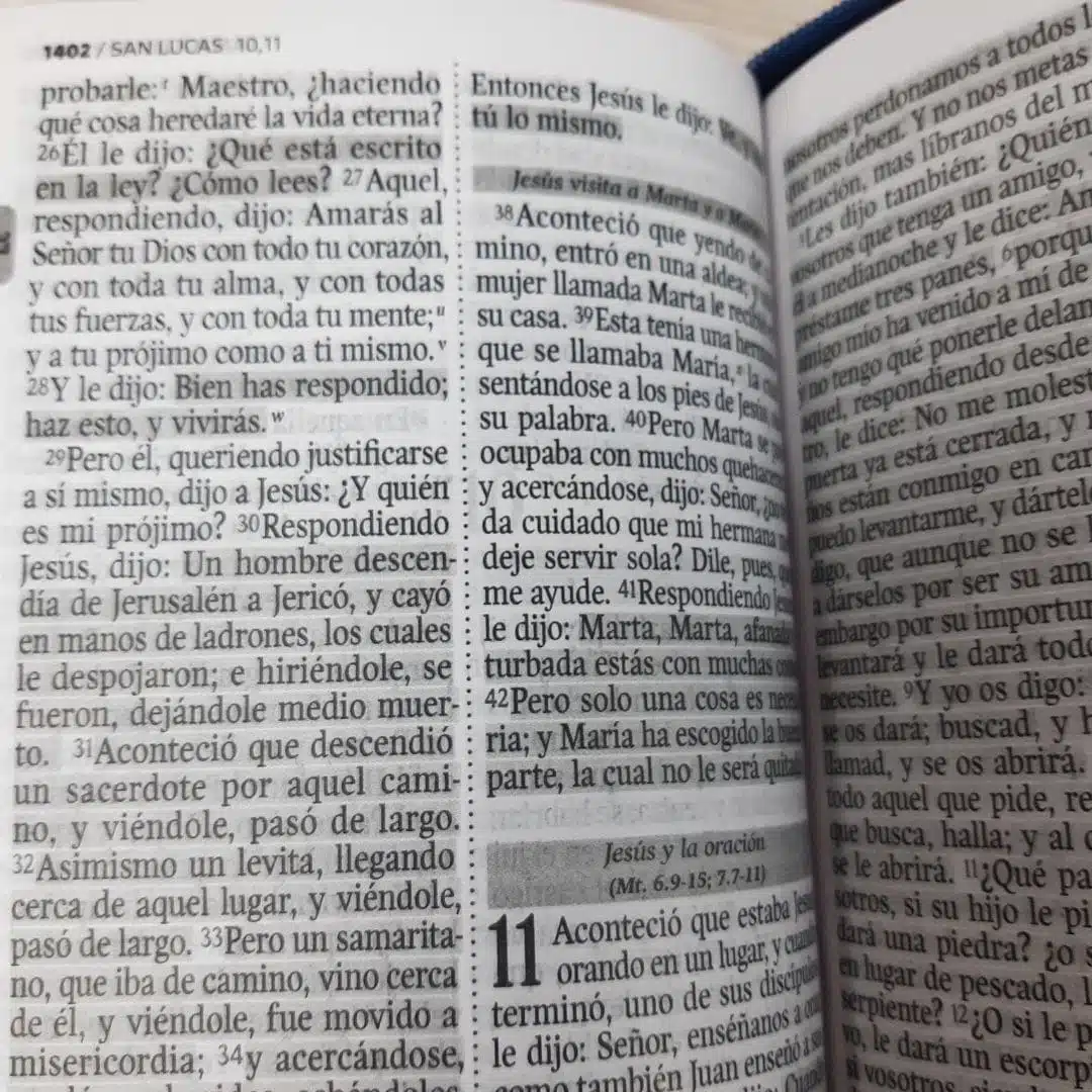 Biblia Económica Reina Valera 1960, Letra Grande, Símil Piel, Cierre, Rosado Azul 9789587458763 Biblia Económica Reina Valera 1960, Letra Grande, Símil Piel, Cierre, Rosado Azul - Imagen 6