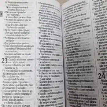Biblia Económica Reina Valera 1960, Letra Grande, Símil Piel, Cierre, Rosado Azul 9789587458763 Biblia Económica Reina Valera 1960, Letra Grande, Símil Piel, Cierre, Rosado Azul - 9789587458763