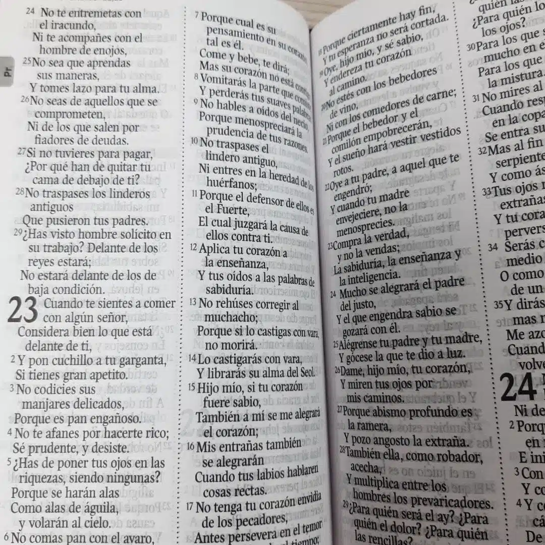 Biblia Económica Reina Valera 1960, Letra Grande, Símil Piel, Cierre, Rosado Azul 9789587458763 Biblia Económica Reina Valera 1960, Letra Grande, Símil Piel, Cierre, Rosado Azul - Imagen 7