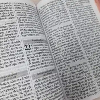 Biblia Económica Reina Valera 1960, Letra Grande, Símil Piel, Cierre, Rosado Azul 9789587458763 Biblia Económica Reina Valera 1960, Letra Grande, Símil Piel, Cierre, Rosado Azul - 9789587458763