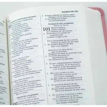 Biblia para Premios y Regalos Reina Valera 1960, Tamaño Manual, Símil Piel, Rosado 9781087779409 Biblia para Premios y Regalos Reina Valera 1960, Tamaño Manual, Símil Piel, Rosado - Imagen 11