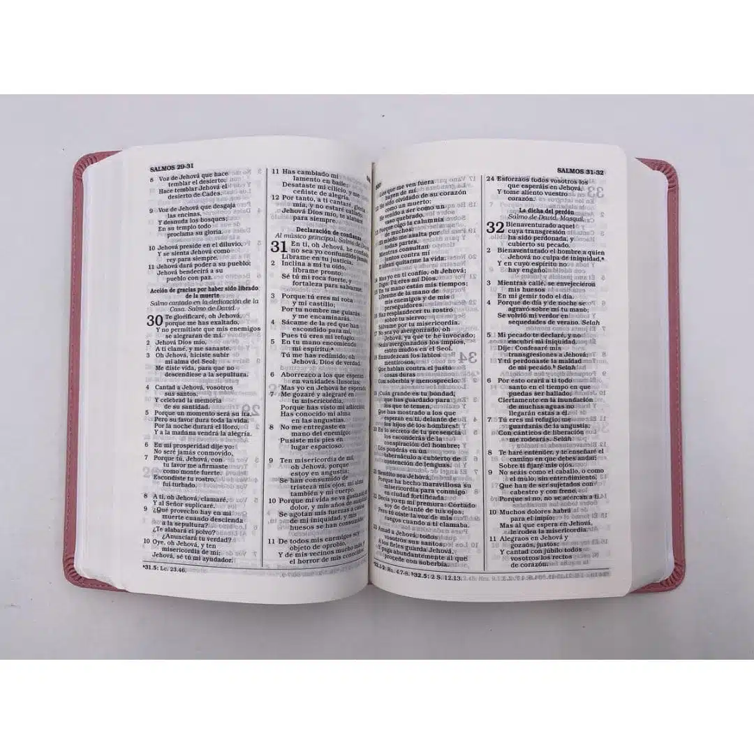 Biblia para Premios y Regalos Reina Valera 1960, Tamaño Manual, Símil Piel, Rosado 9781087779409 Biblia para Premios y Regalos Reina Valera 1960, Tamaño Manual, Símil Piel, Rosado - Imagen 8