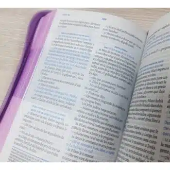 Biblia Sé Un Héroe para Niñas TLA, Tamaño Manual, Letra Grande, Acolchada, Cierre, Rosada 9789587458992 Biblia Sé Un Héroe para Niñas TLA, Tamaño Manual, Letra Grande, Acolchada, Cierre, Rosada - 9789587458992