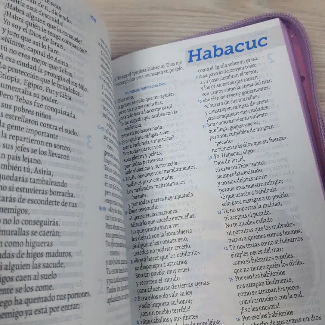Biblia Sé Un Héroe para Niñas TLA, Tamaño Manual, Letra Grande, Acolchada, Cierre, Rosada 9789587458992 Biblia Sé Un Héroe para Niñas TLA, Tamaño Manual, Letra Grande, Acolchada, Cierre, Rosada - Imagen 8