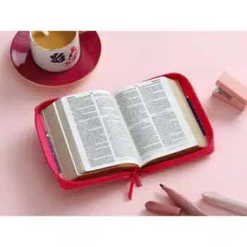 Biblia Reina Valera 1960, Tamaño Bolsillo, Símil Piel, Cierre, Primaveral Búho Luna, Fucsia Azul 9798885168342 Biblia Reina Valera 1960, Tamaño Bolsillo, Símil Piel, Cierre, Primaveral Búho Luna, Fucsia Azul - 9798885168342