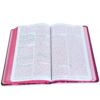 Biblia Reina Valera 1960, Tamaño Manual, Letra Grande, Tapa Dura, León de Judá, Rosada 9798890982193 Biblia Reina Valera 1960, Tamaño Manual, Letra Grande, Tapa Dura, León de Judá, Rosada - Imagen 8