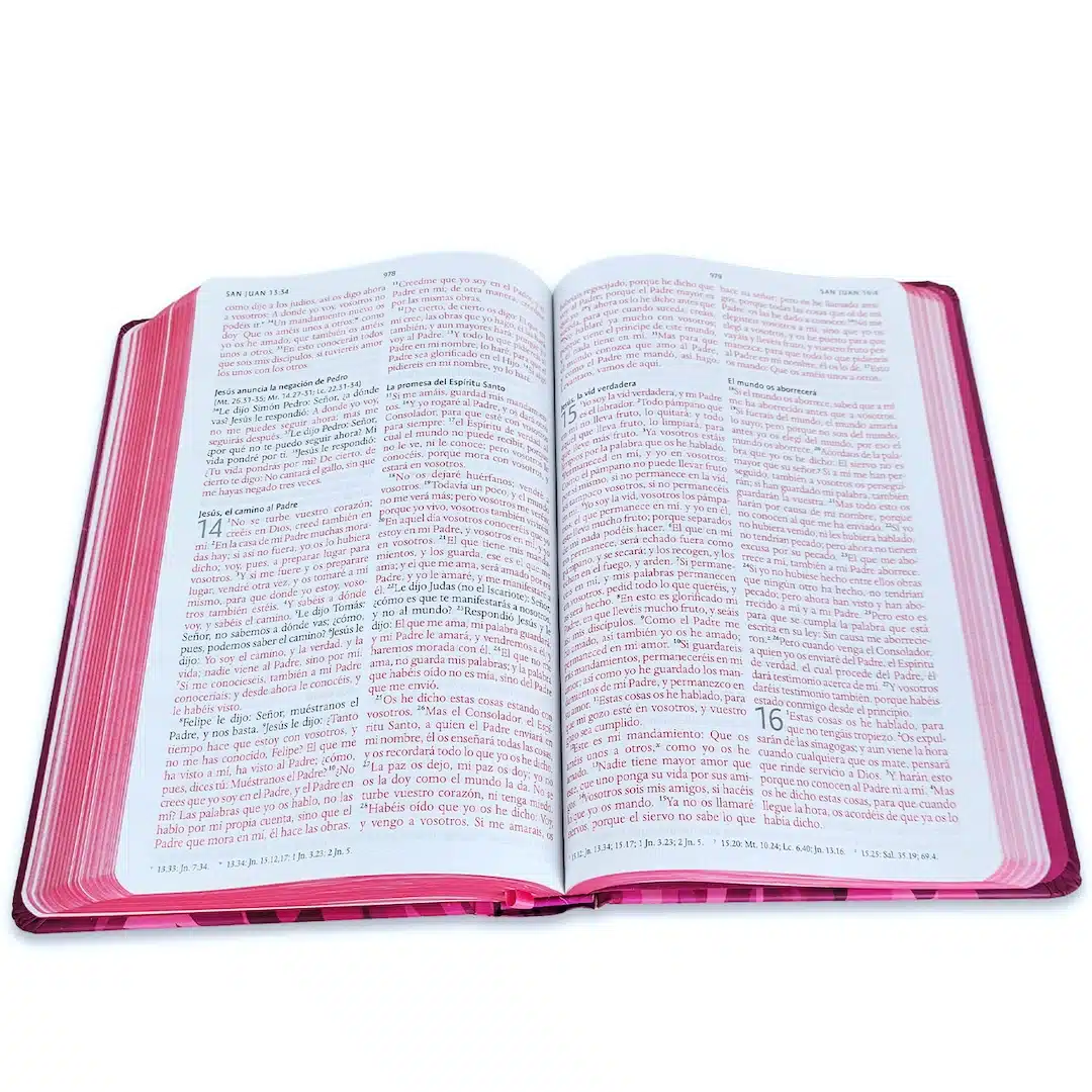 Biblia Reina Valera 1960, Tamaño Manual, Letra Grande, Tapa Dura, León de Judá, Rosada 9798890982193 Biblia Reina Valera 1960, Tamaño Manual, Letra Grande, Tapa Dura, León de Judá, Rosada - Imagen 8