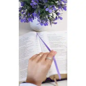 Biblia de Estudio Inductivo NBLA, Letra Grande, Símil Piel, Morado 9780829773248 Biblia de Estudio Inductivo NBLA, Letra Grande, Símil Piel, Morado - 9780829773248