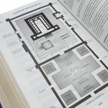 Biblia de Estudio Inductivo NBLA, Letra Grande, Símil Piel, Morado 9780829773248 Biblia de Estudio Inductivo NBLA, Letra Grande, Símil Piel, Morado - 9780829773248