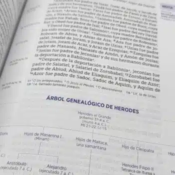 Biblia de Estudio Inductivo NBLA, Letra Grande, Símil Piel, Morado 9780829773248 Biblia de Estudio Inductivo NBLA, Letra Grande, Símil Piel, Morado - 9780829773248